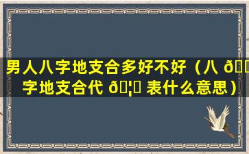 男人八字地支合多好不好（八 🐕 字地支合代 🦅 表什么意思）